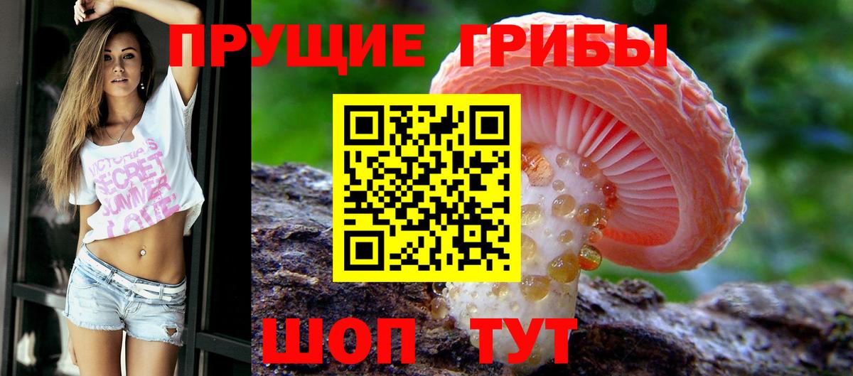 Воткинск  Галлюциногенные грибы Magic Shrooms  Вход с VPN 